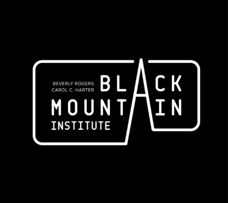 Black Mountain Institute Logo
