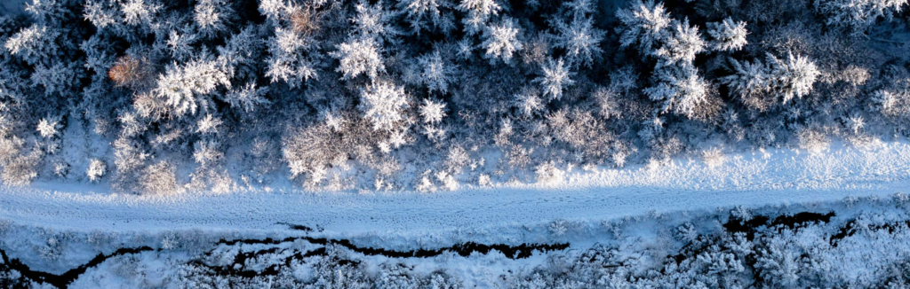 AngelnV 6 Intro Education 4